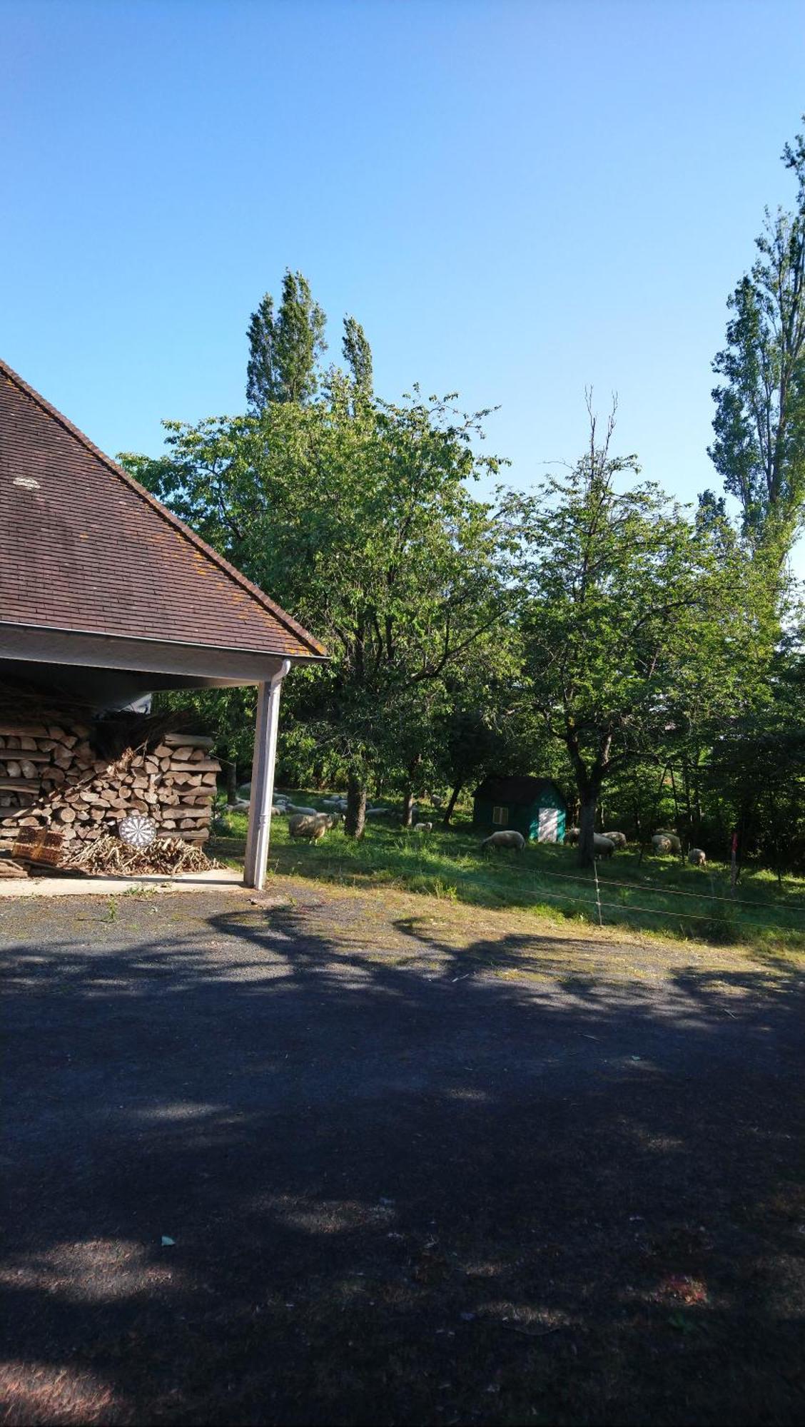 Les Allees Du Chateau Le Mazeau Buitenkant foto