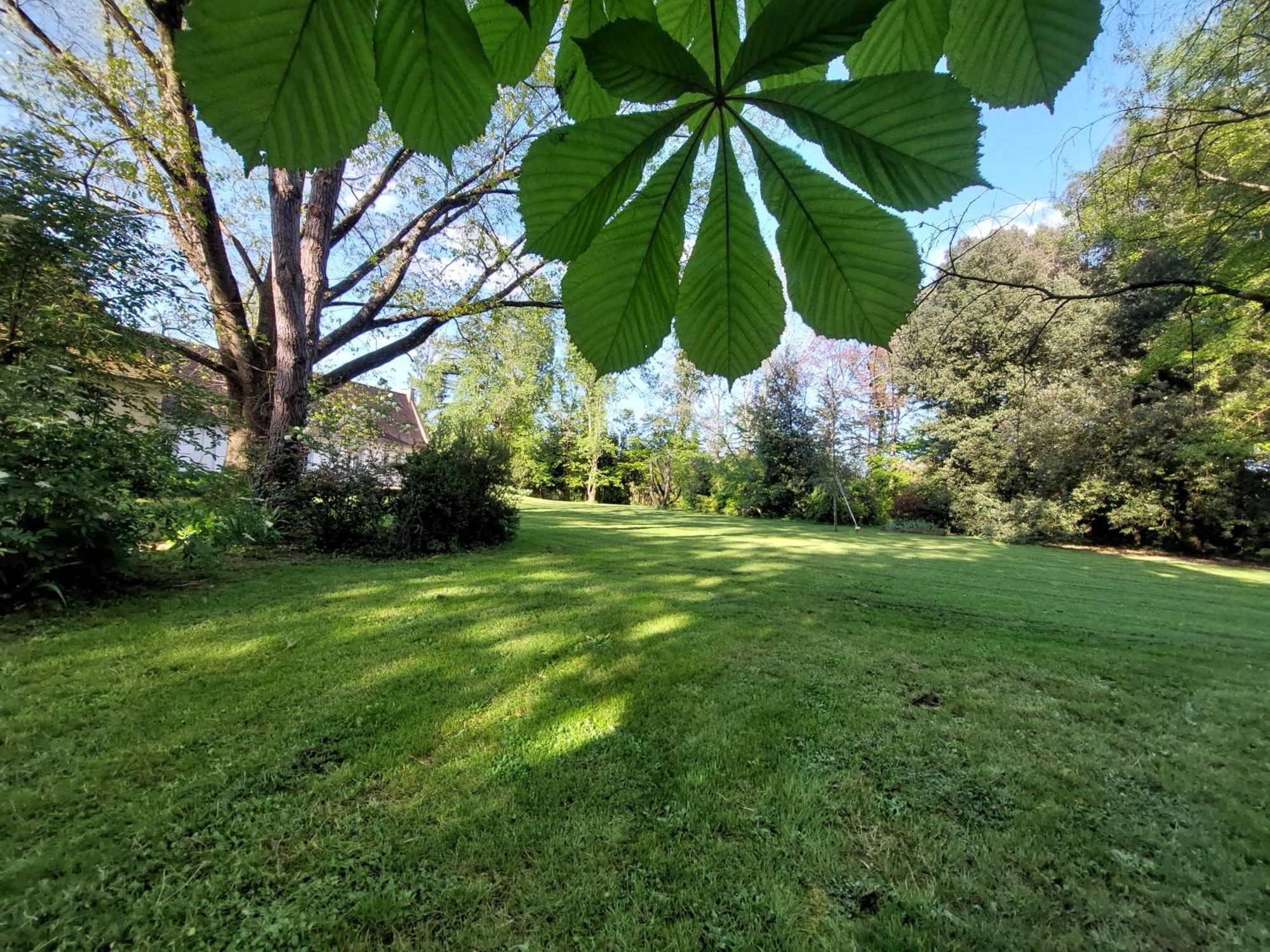 Les Allees Du Chateau Le Mazeau Buitenkant foto